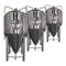 Acier inoxydable 10BBL industriel Craft Fermentation en cuve à vendre