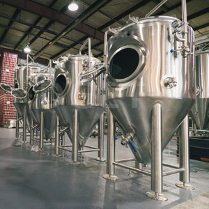 Fermenteur de brasserie de cuve de fermentation de bière en acier inoxydable 1000L à vendre