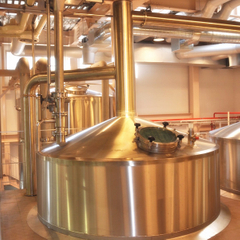 Acier inoxydable automatisé 1000L industriel Craft Beer Brewery Équipement à vendre