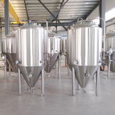 7BBL Microbrasserie Matériel utilisé bière Fermenting système avec CE.UL Certification