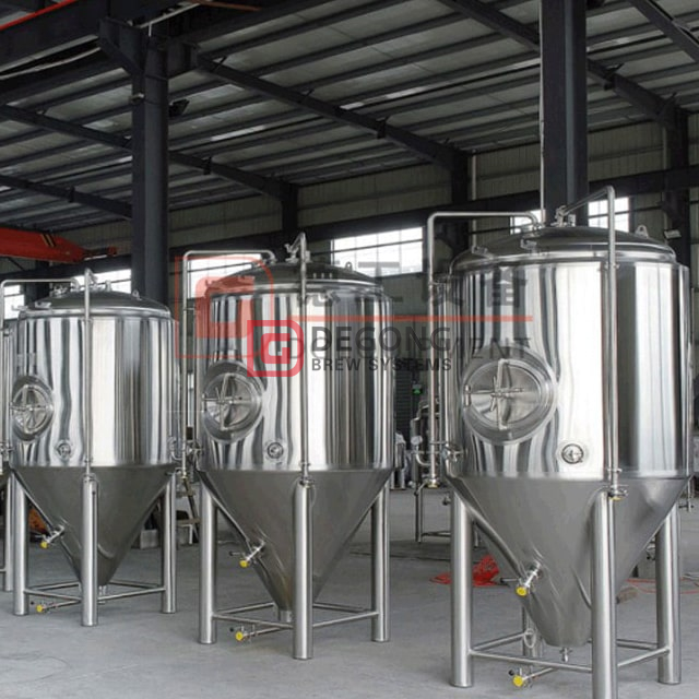 1000L artisanat complet en acier inoxydable bière équipement de brassage cuves de fermentation Unitank à vendre