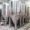 Équipement commercial de brasserie de bière d'acier inoxydable de l'artisanat 10BBL avec l'isolation