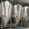 Machine de bière artisanale certifiée par CE de réservoir de brassage d'équipement de brasserie 1000L à vendre