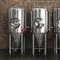 Système de brasserie en acier automatisé commercial de la bière 1000L micro à vendre